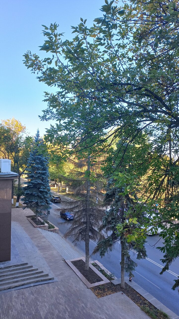 Гостиница Волга Самара-175