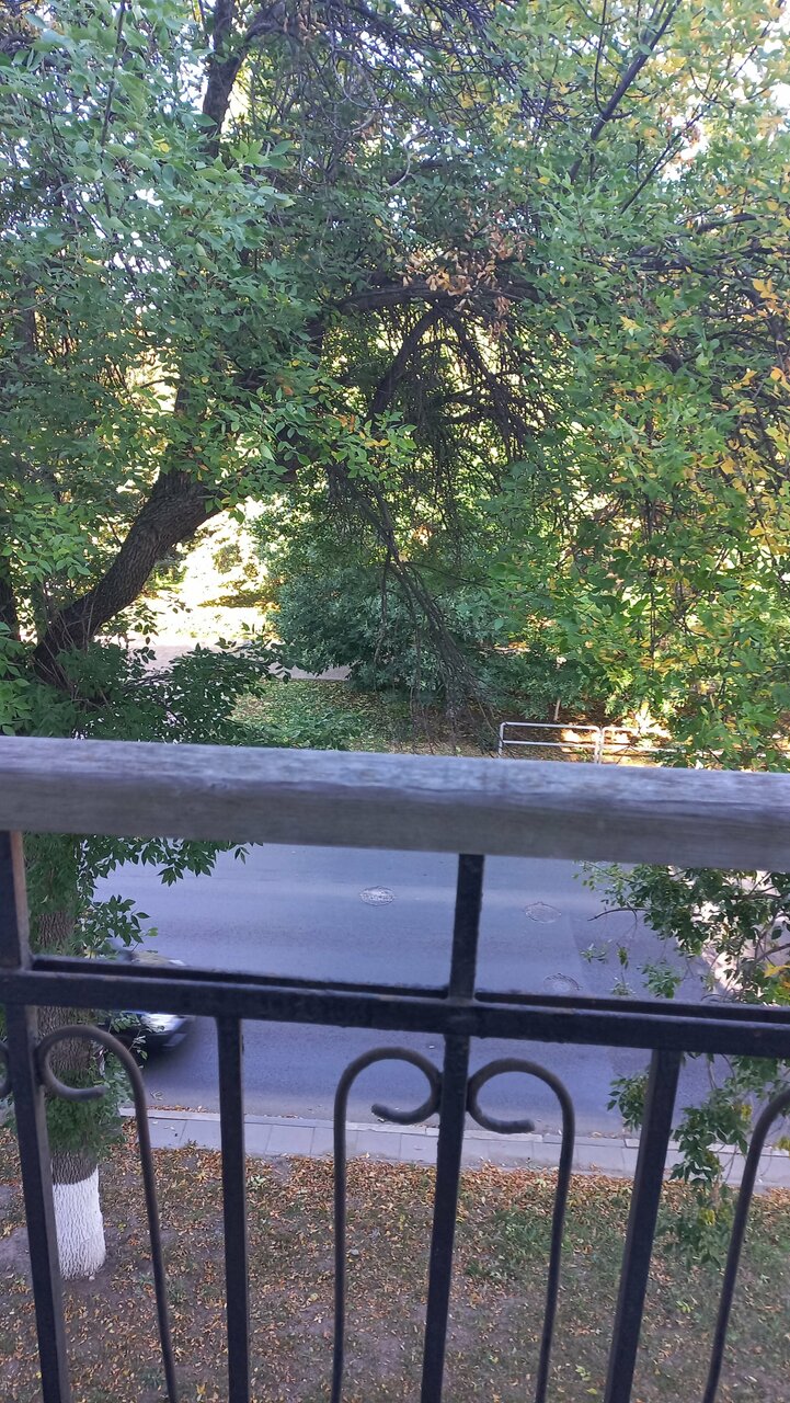 Гостиница Волга Самара-211